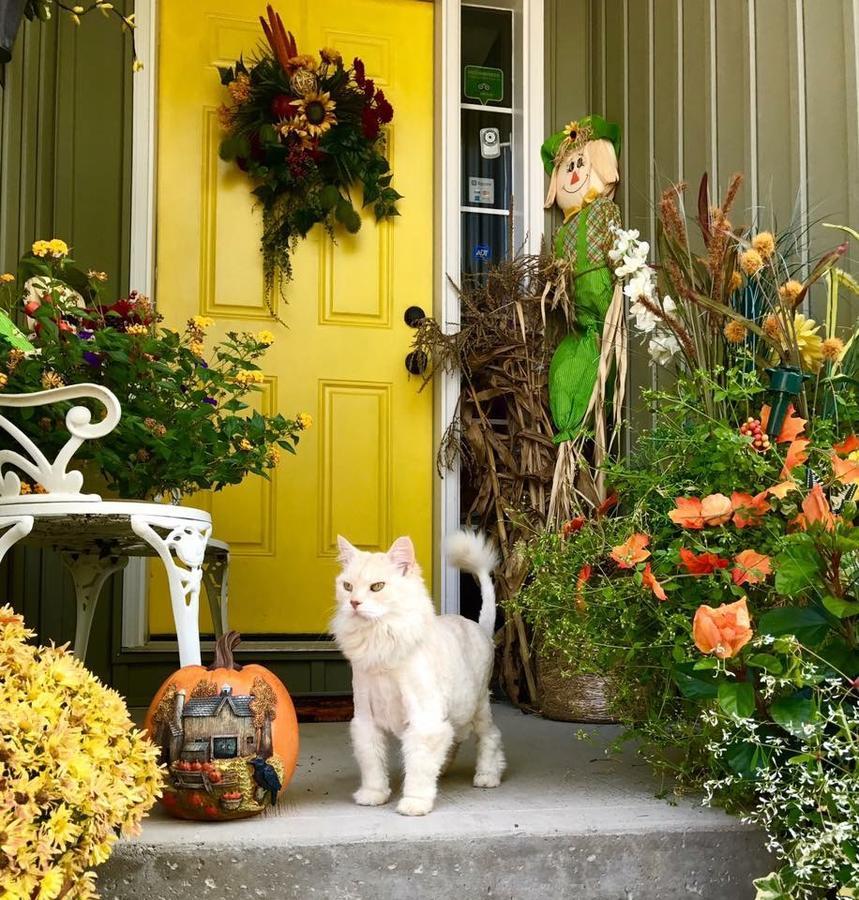 Yellow Door Bed And Breakfast Форт-Ері Екстер'єр фото